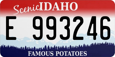 ID license plate E993246