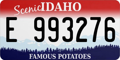 ID license plate E993276