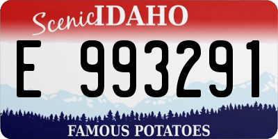 ID license plate E993291