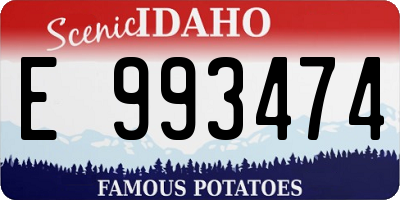 ID license plate E993474