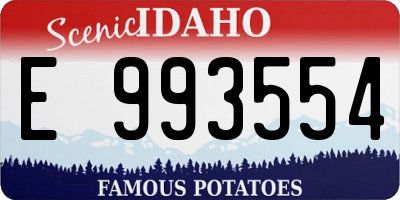 ID license plate E993554