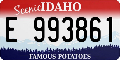 ID license plate E993861