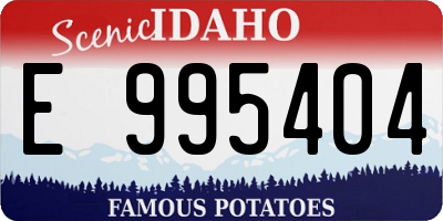 ID license plate E995404