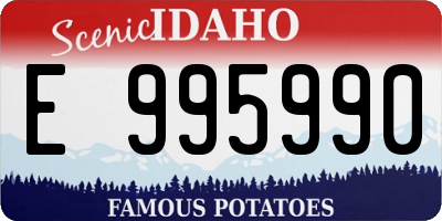 ID license plate E995990