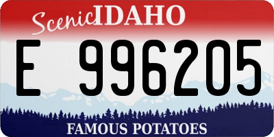 ID license plate E996205