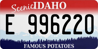 ID license plate E996220