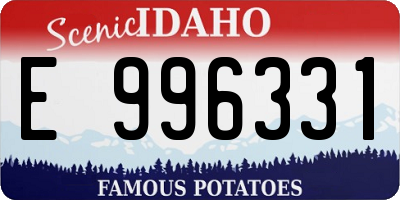 ID license plate E996331