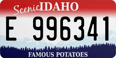 ID license plate E996341