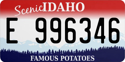 ID license plate E996346