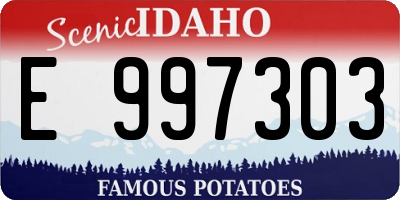 ID license plate E997303