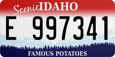 ID license plate E997341