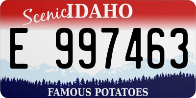 ID license plate E997463