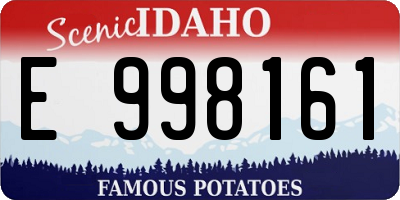 ID license plate E998161