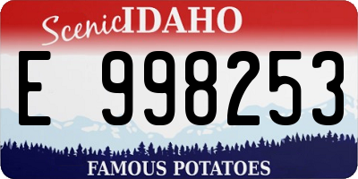 ID license plate E998253
