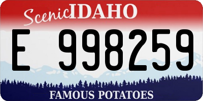 ID license plate E998259