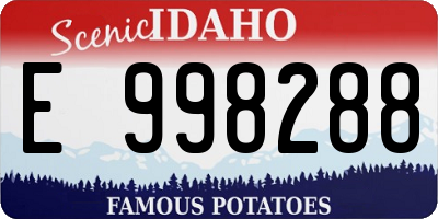 ID license plate E998288