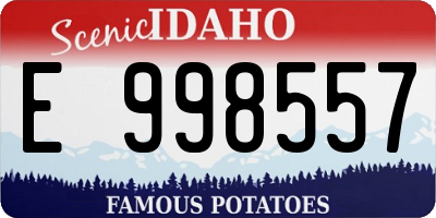 ID license plate E998557