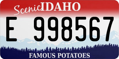 ID license plate E998567