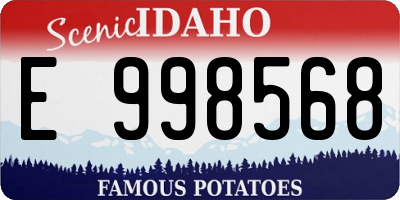 ID license plate E998568