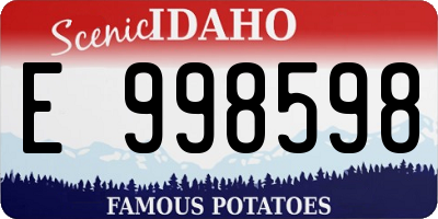 ID license plate E998598