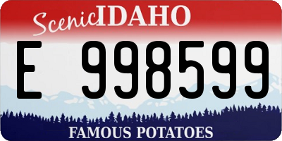 ID license plate E998599