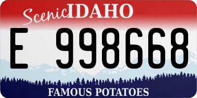 ID license plate E998668