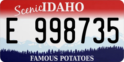 ID license plate E998735