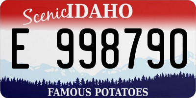 ID license plate E998790