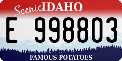 ID license plate E998803