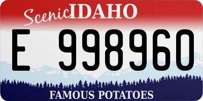 ID license plate E998960