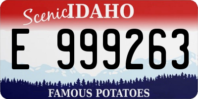 ID license plate E999263