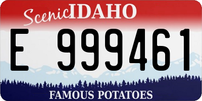 ID license plate E999461