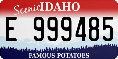 ID license plate E999485