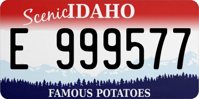ID license plate E999577