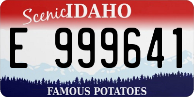 ID license plate E999641