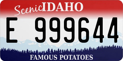 ID license plate E999644