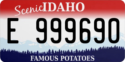 ID license plate E999690