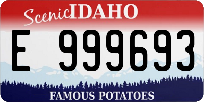 ID license plate E999693