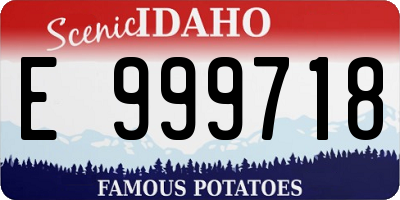 ID license plate E999718
