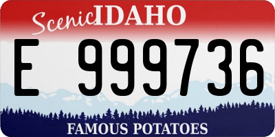 ID license plate E999736