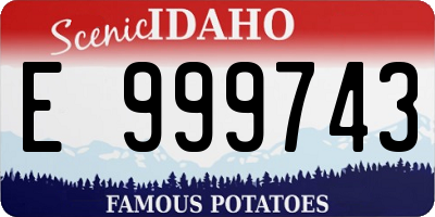 ID license plate E999743