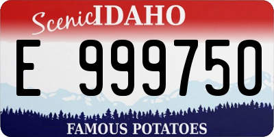 ID license plate E999750