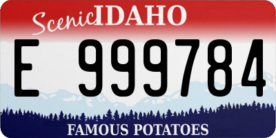 ID license plate E999784