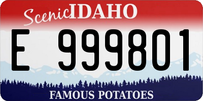 ID license plate E999801