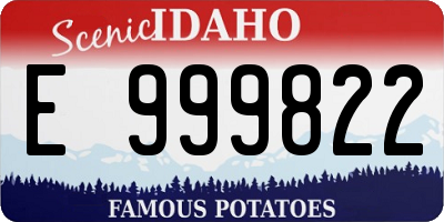 ID license plate E999822