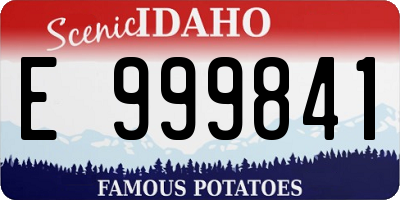 ID license plate E999841
