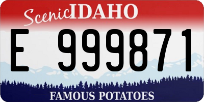ID license plate E999871