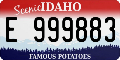 ID license plate E999883