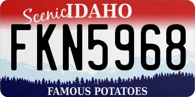 ID license plate FKN5968