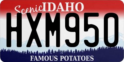 ID license plate HXM950